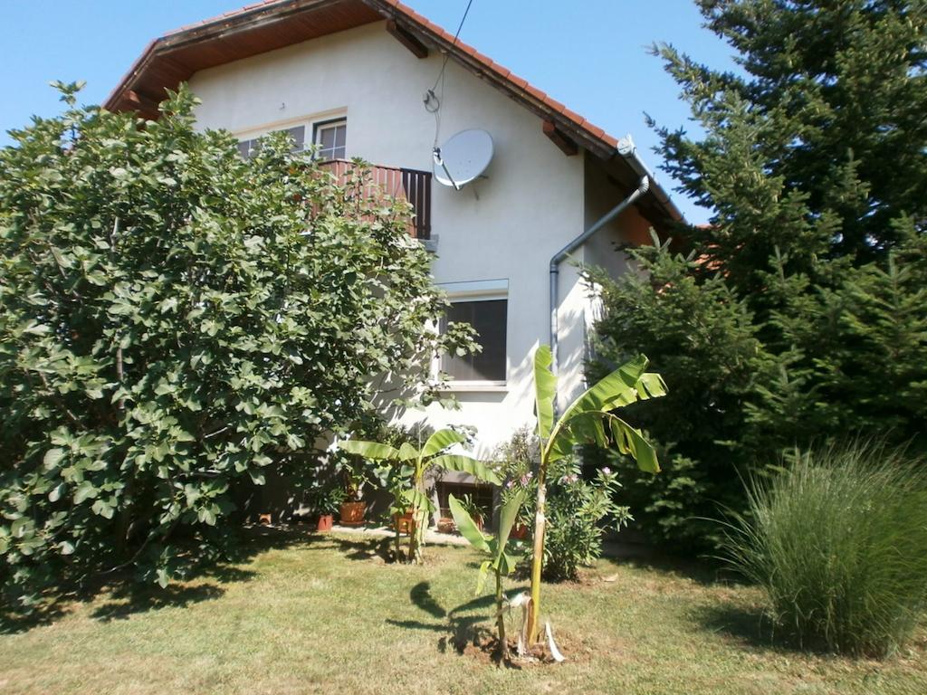 Feher Rozsa Apartman Черсегтомай Экстерьер фото